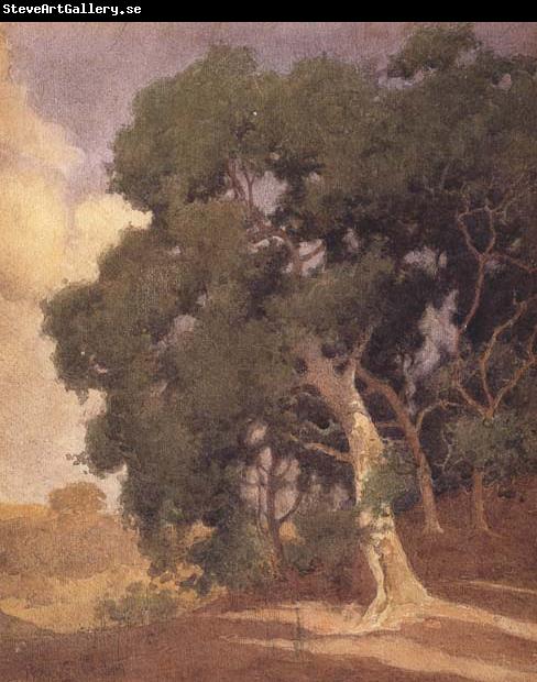 Percy Gray Trees on a Hillside (mk42)